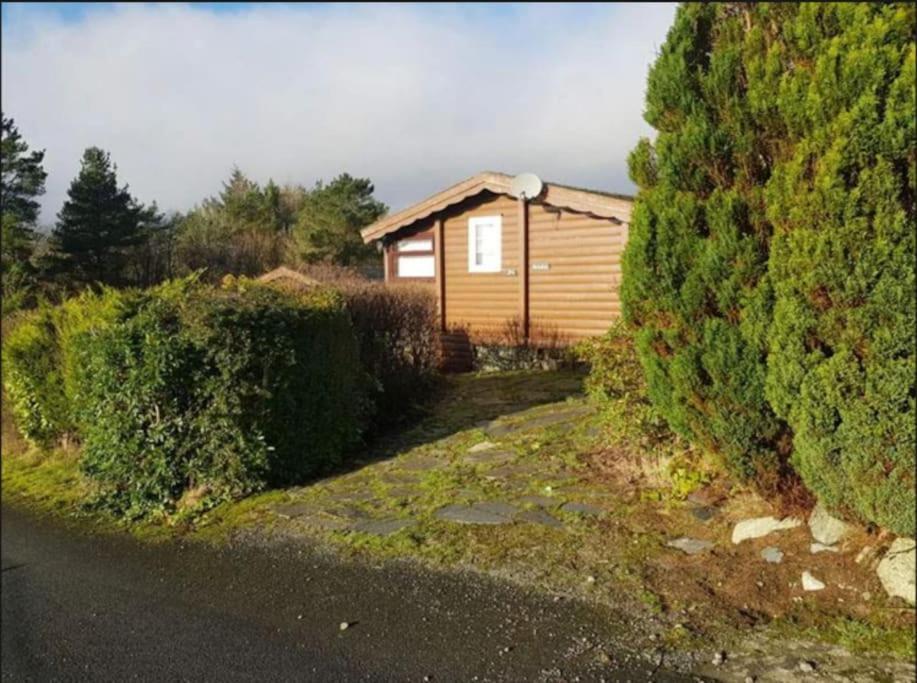 Gwel-Y-Cwm - Valley View Trawsfynydd Exterior foto