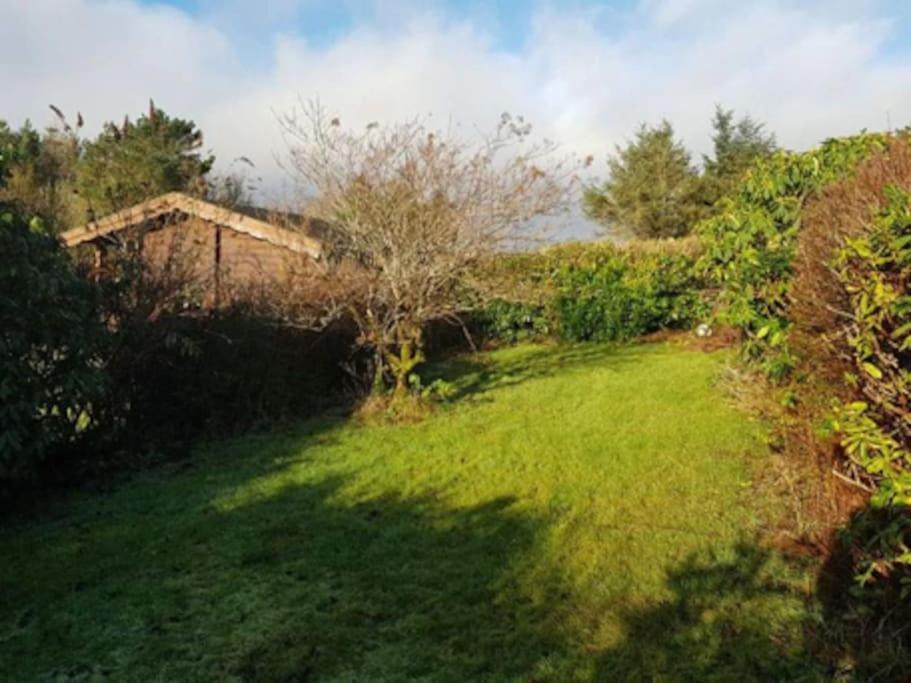 Gwel-Y-Cwm - Valley View Trawsfynydd Exterior foto